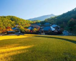 미야마 산소