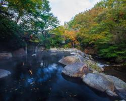 黒川温泉　山あいの宿　山みず木