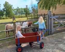 Vacation Home Mechelhof