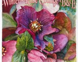 A Winter-Rose Cottage B&B
