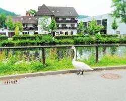 Hotel Schiff Nagold