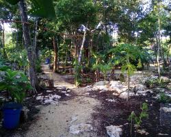 Quintana Roo National Park Campground & Hiking