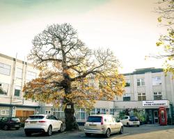 Hotel Celebrity Bournemouth East Cliff by Villare hotels