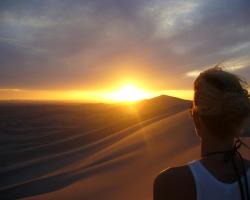 Golden Gobi Hostel & Tours