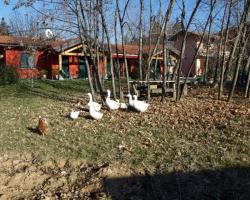 B&B Le Rondini
