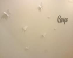 Carpe Diem Apartment