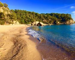 Private Apartments Cala Canyelles