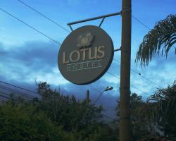Lotus hostel