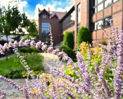 Stara Szkoła Boutique Hotel