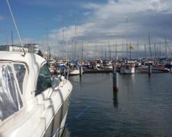 Apartament Gdynia Centrum