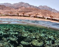 Canyon Estate Residence Dahab