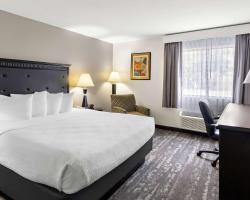 Best Western Saluki Inn