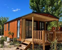 Best Holiday Port Grimaud