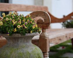 大花紫薇田園民宿-附電梯