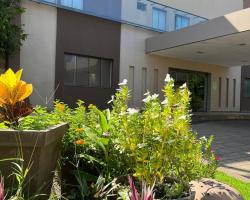 Maximus Business by Easy Hotéis