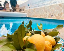 Authentic Canary Style Villa with private pool and garden- Casa Juan Vera