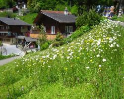 Ferienhaus Brienz