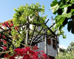 Διαμερίσματα Παπανέστορας