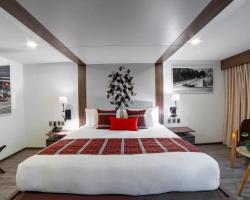 Flow Condesa - Adults Only