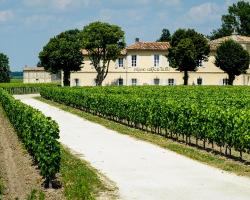 Château Franc Grâce-Dieu