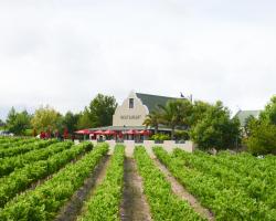 Skilpadvlei Wine Farm
