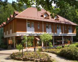 Kurpark Flair Hotel Im Ilsetal