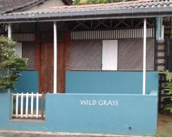 Wild Grass