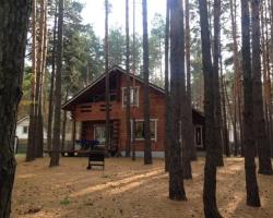 Wooden cottage in Lesnaya Skazka