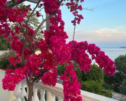 Apartments Herceg Novi