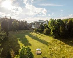 Falkenstein Grand, Autograph Collection