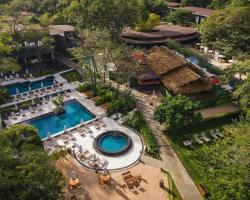 El Mangroove Papagayo, Autograph Collection