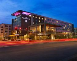 The Alexander