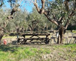 Agriturismo Cele