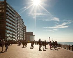 Apartment Hertstraat