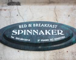 B&B Spinnaker