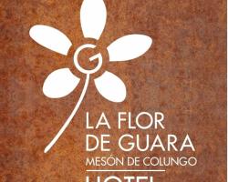 Mesón de Colungo