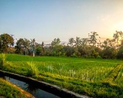 Ubud Paradise Villa