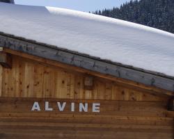 Chalet Alvine