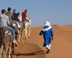 Camp Camel Tour Sahara