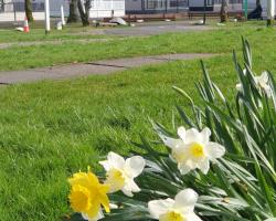 Lomond Woods Holiday Park