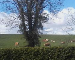 Rose Cottages Self Catering Holiday Homes