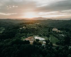 Fattoria di Colleoli