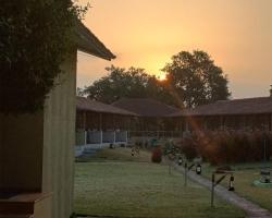 Asiatic Lion Lodge