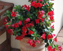 Glück im Kohlenpott