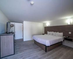 Viking Shores Motor Inn