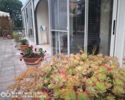 Casa Maddalena family