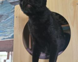 Paseo Del Mar Seaside Inn