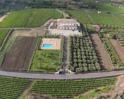Feudo Vagliasindi -Wine Experience-