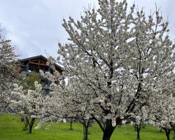 Affittacamere Verger Plein Soleil