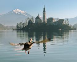 Apartments Vila Cvetka Bled